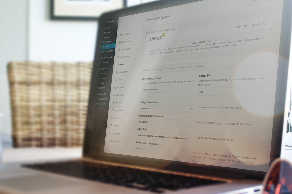 Powerful Theme Options